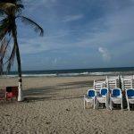 China is ‘leaps and bounds ahead’ in robotics, experts says